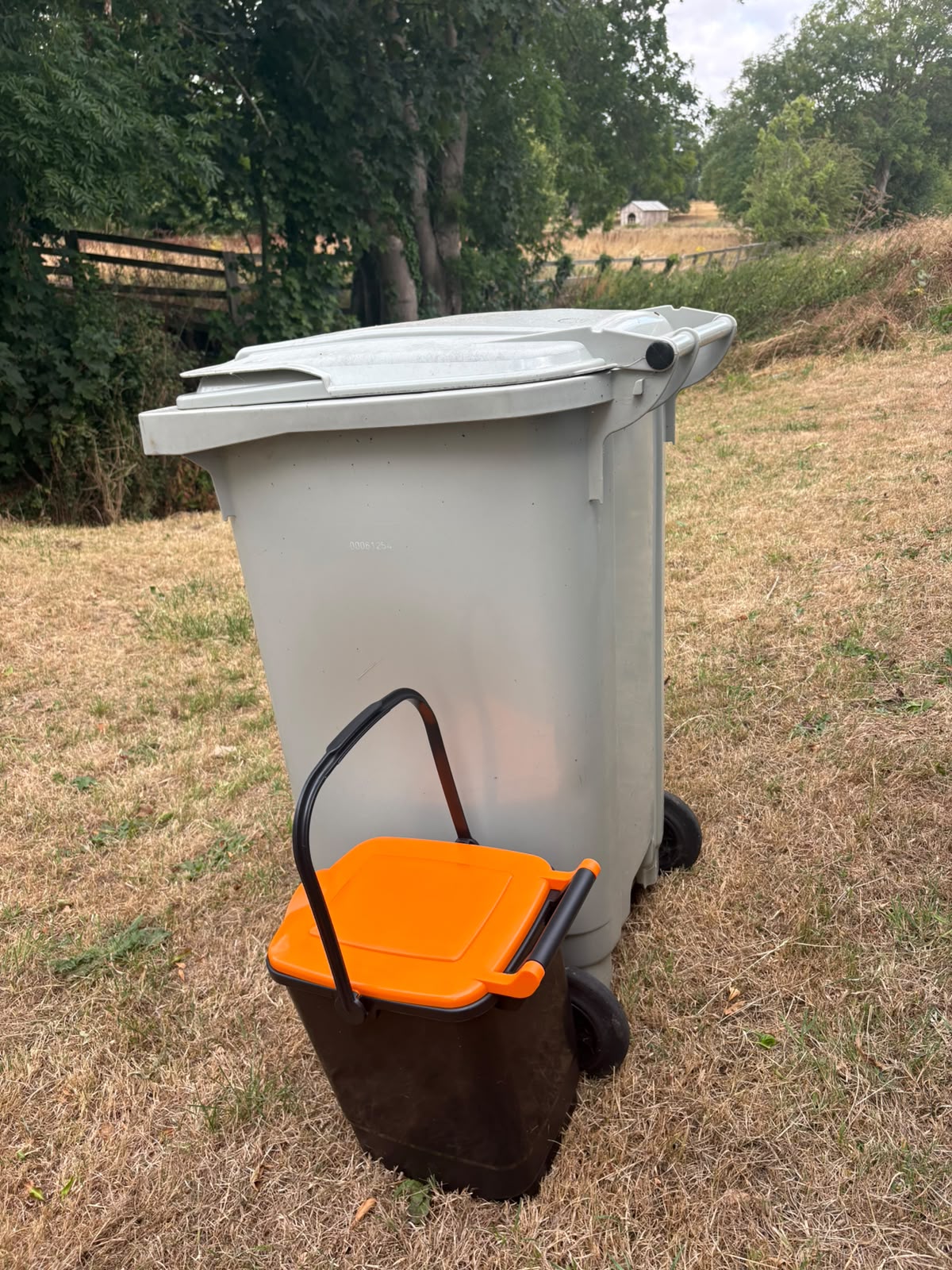 Bin and caddy presented for collection